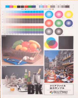 Clear File Folders - Plastic folder Full color print Size A4